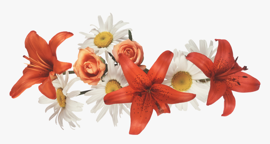 Transparent Coronas De Flores Png - Orange Flower Crown Transparent, Png Download