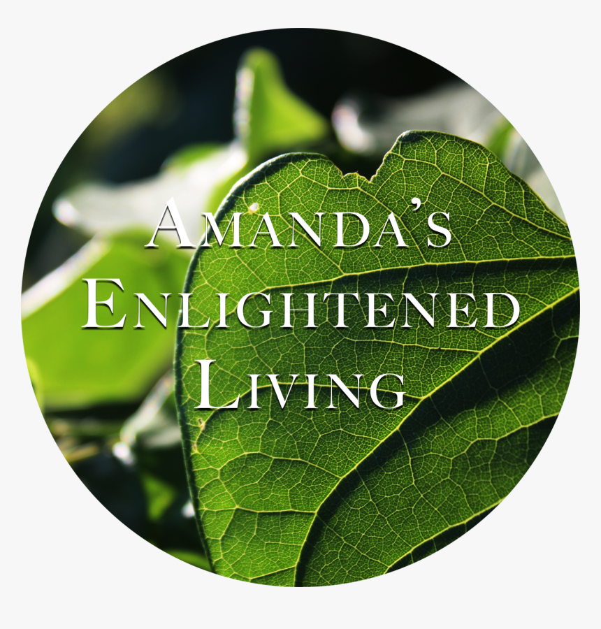 Amanda S Enlightened Living - Heart, HD Png Download