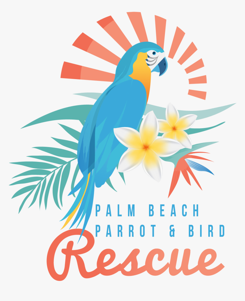 Palm Beach Parrot Rescue, HD Png Download