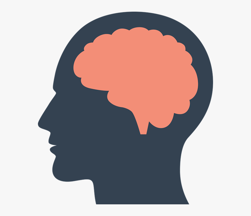 Thumb Image - Brain Png, Transparent Png