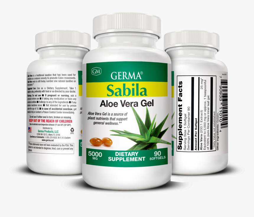 Saw Palmetto, HD Png Download