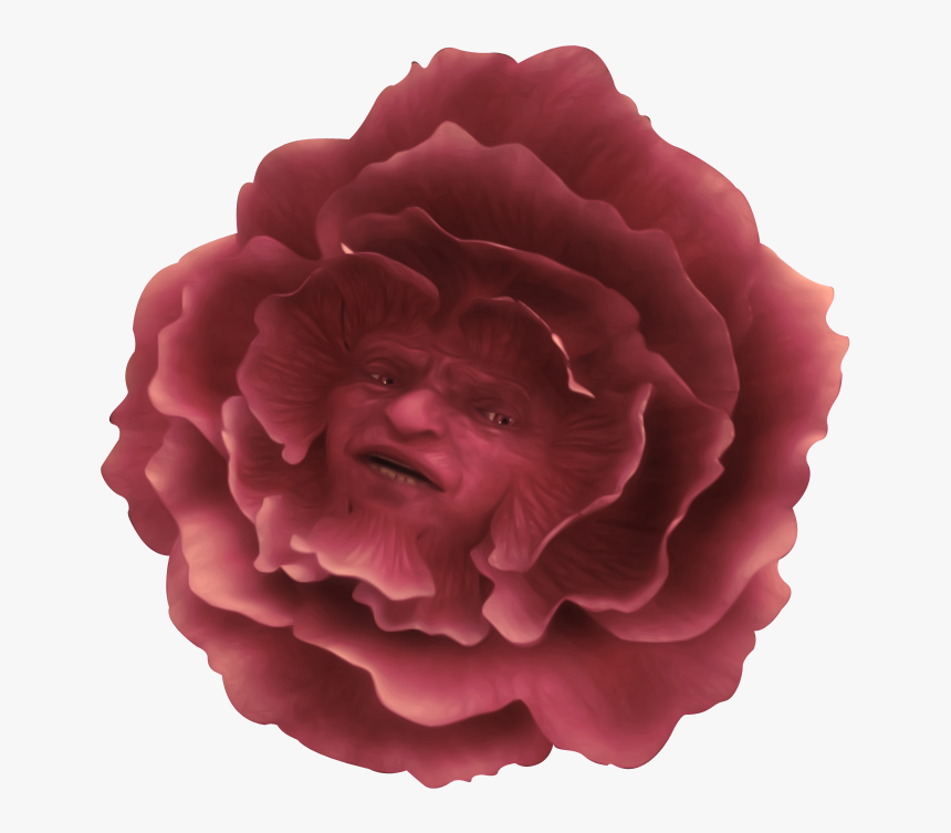 Alice In Wonderland 2010 Flowers, HD Png Download