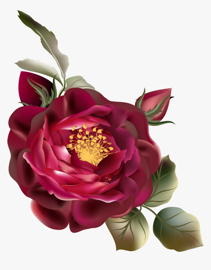 Png De Ornamentação De Cor De Rosa Vermelha - Vintage Flor Vermelha Png, Transparent Png