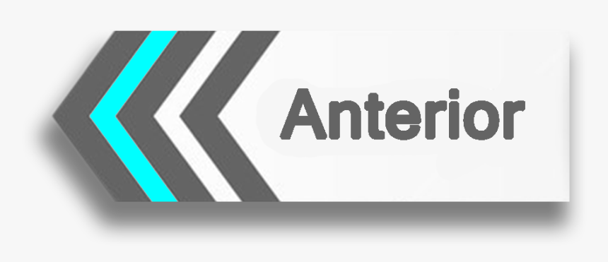 Thumb Image - Siguiente Y Anterior Png, Transparent Png