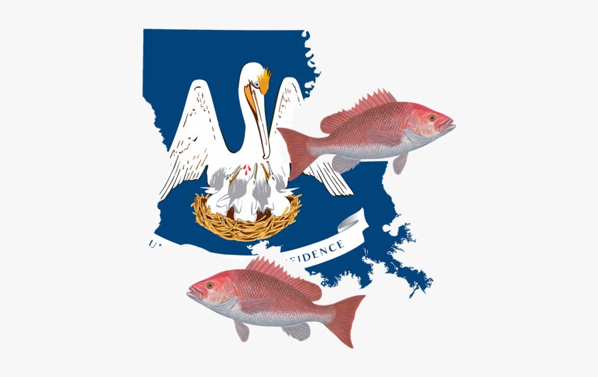 Flag Of Louisiana, HD Png Download