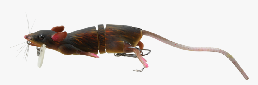 Transparent 3d Gear Png - Savage Gear Rat, Png Download