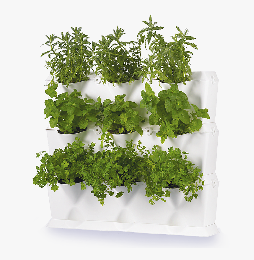 Vertical Herbs Garden Uk, HD Png Download