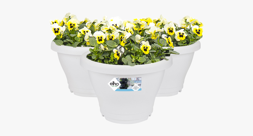 Flowerpot, HD Png Download