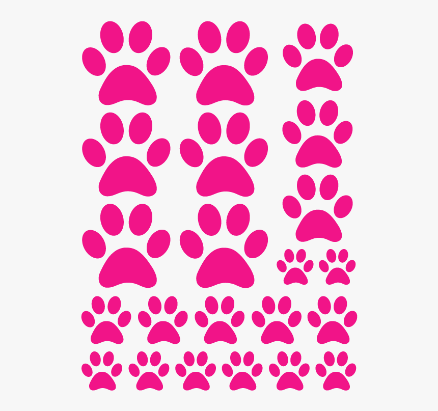 Paws, HD Png Download
