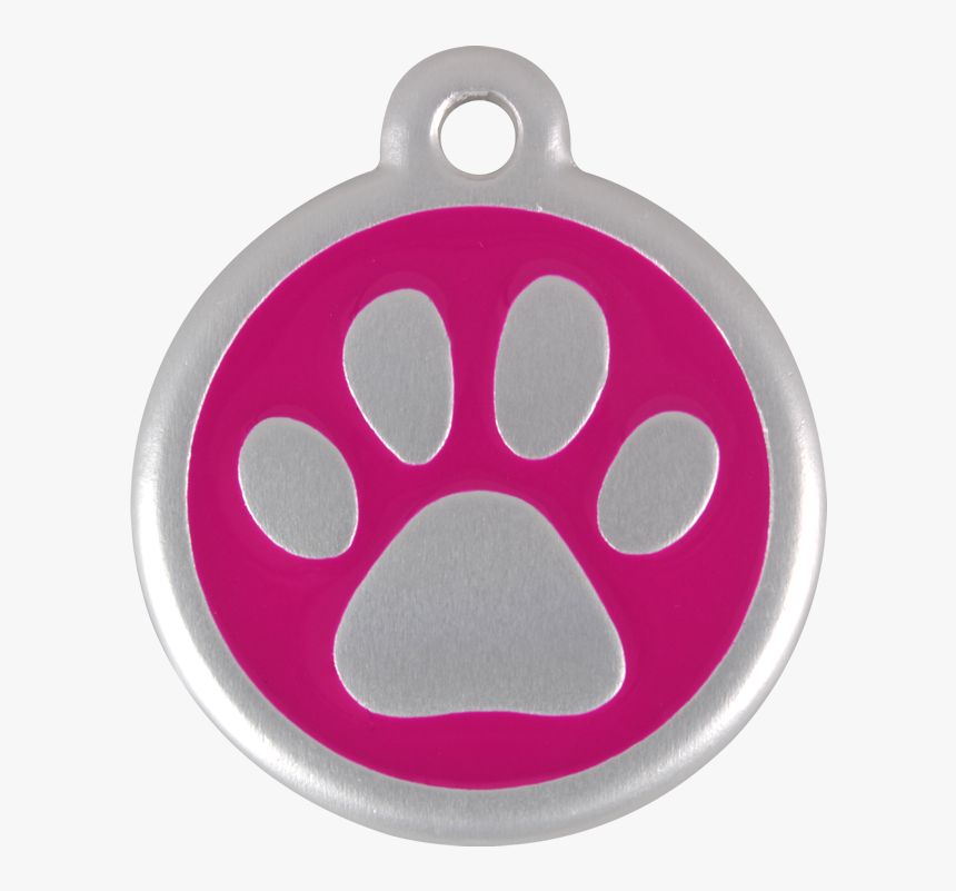 Cat, HD Png Download