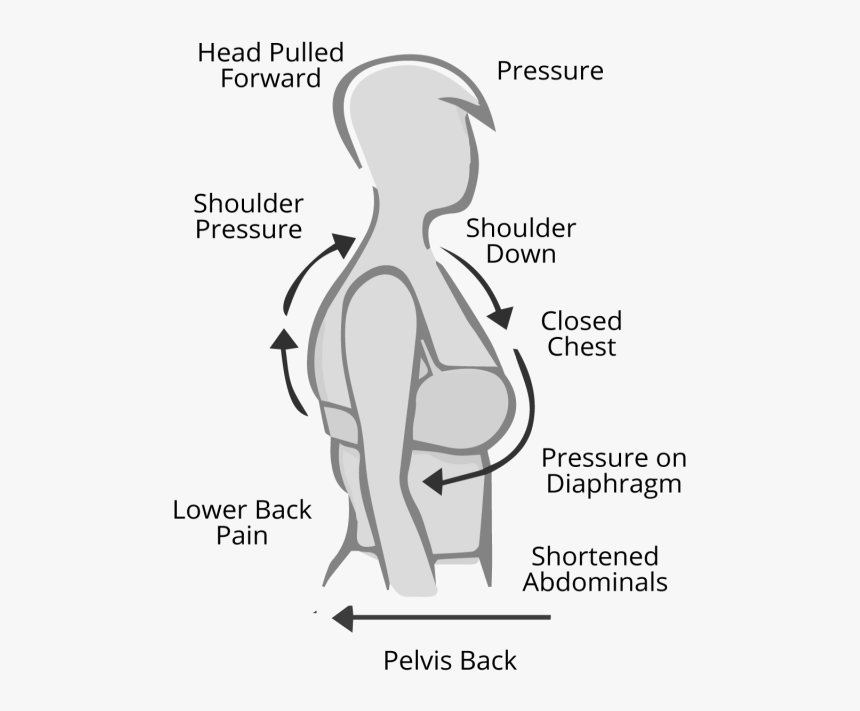 Ewa Michalak, Plus Size Model, Plus Size Lingerie, - Poster, HD Png Download