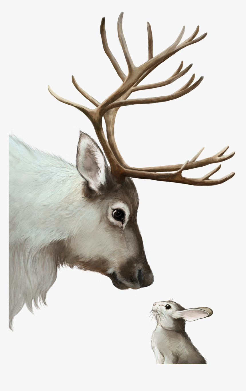 Antler, HD Png Download