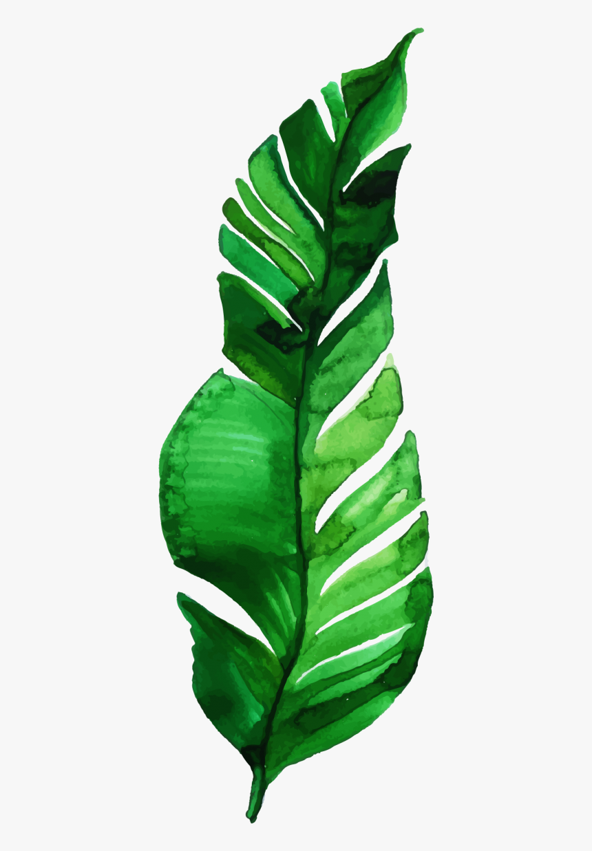 Illustration, HD Png Download