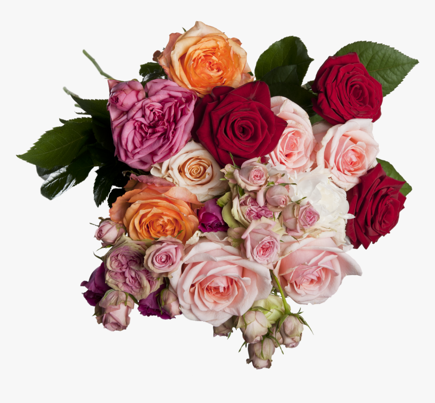 Isolated, Roses, Bouquet, Multi Coloured, Romantic - ช่อ ดอกไม้ หลาก สี, HD Png Download
