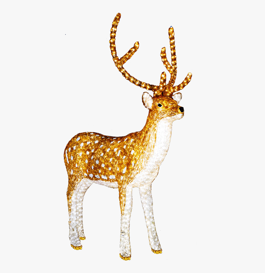Illuminated Reindeer Clip Art - Light Up Reindeer Png, Transparent Png