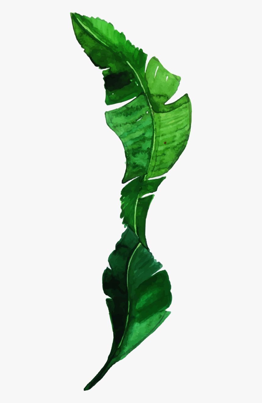 Vase, HD Png Download