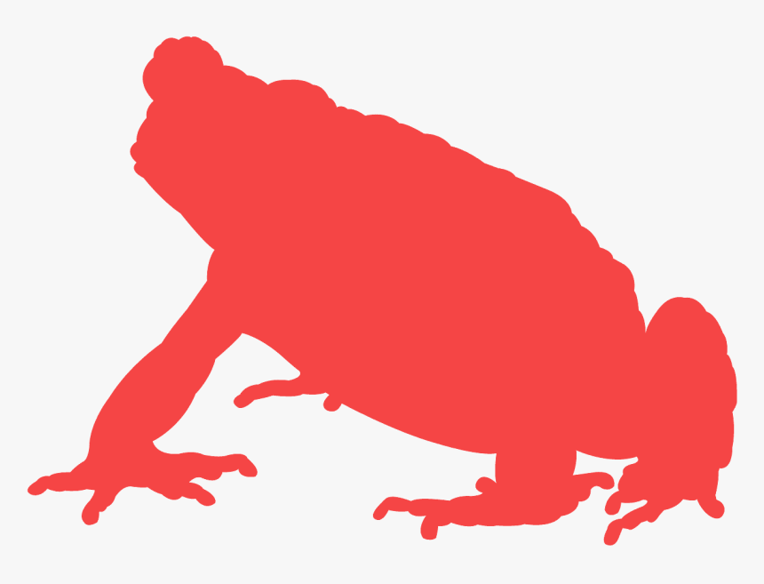 Toad Silhouette, HD Png Download