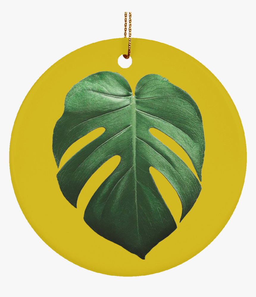 Monstera Rysunek, HD Png Download