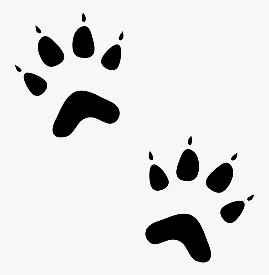 Sphynx Cat Paw Animal Kitten Rubber Stamp - Paws And Claws Logo, HD Png Download