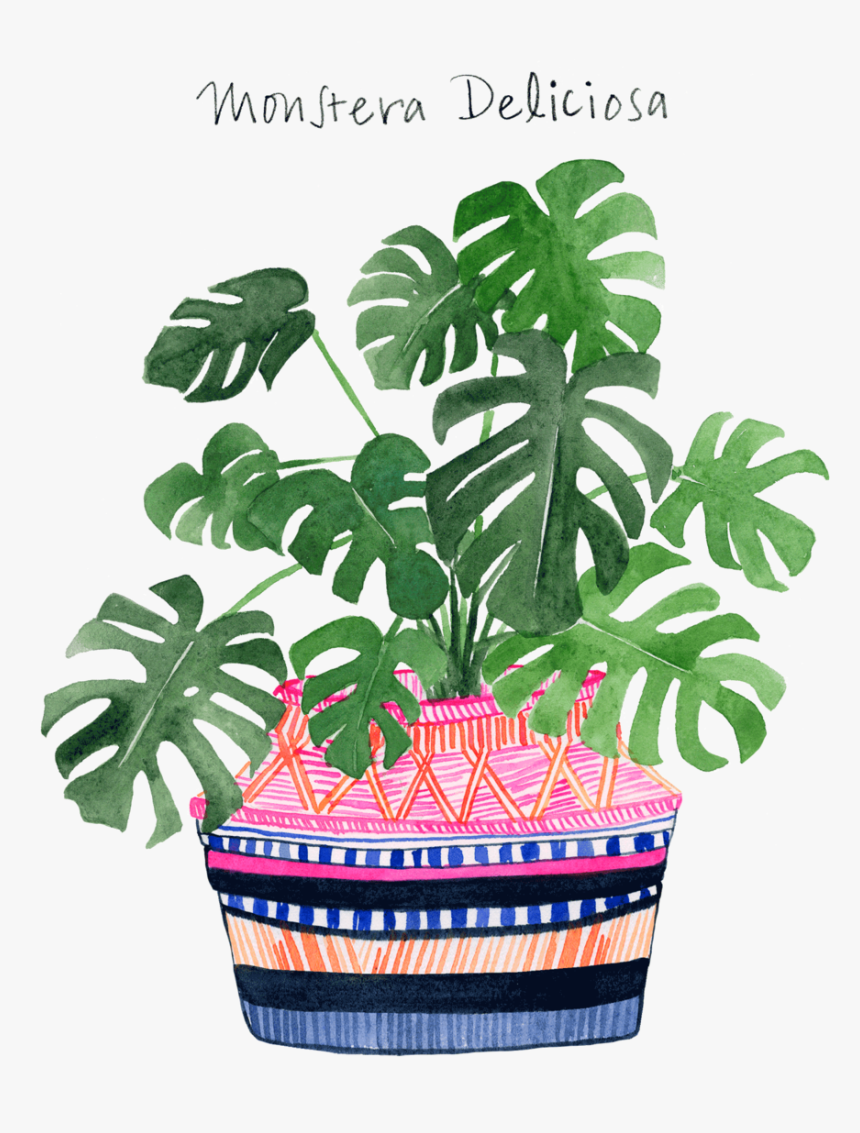 Monstera Web 2016 , Png Download - Muhammad, Transparent Png