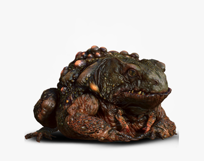 Witcher Wiki - Ksiaze Ropuch Wiedzmin 3, HD Png Download