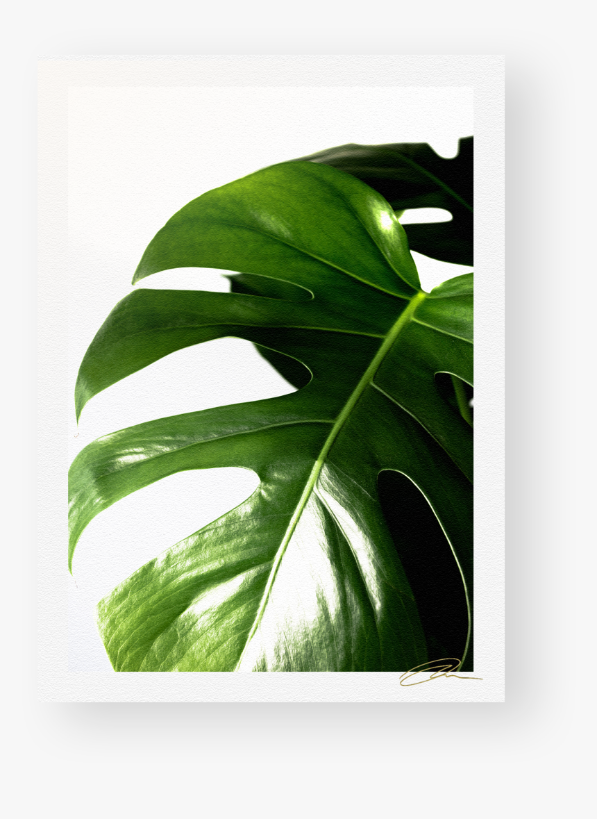 Web Template B4, HD Png Download