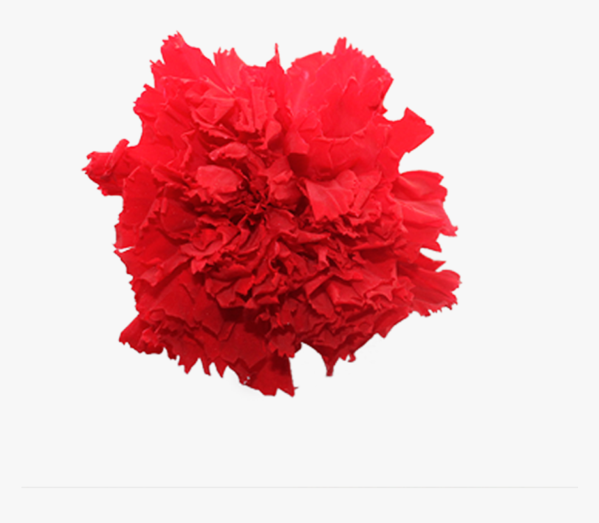 Clipart Hair Flower, HD Png Download