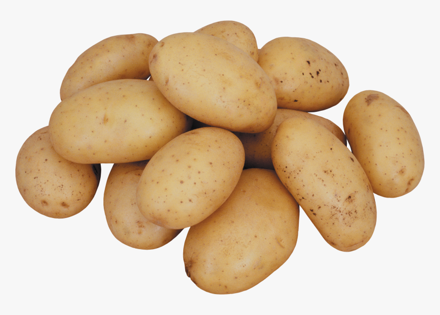 Potato Png, Transparent Png