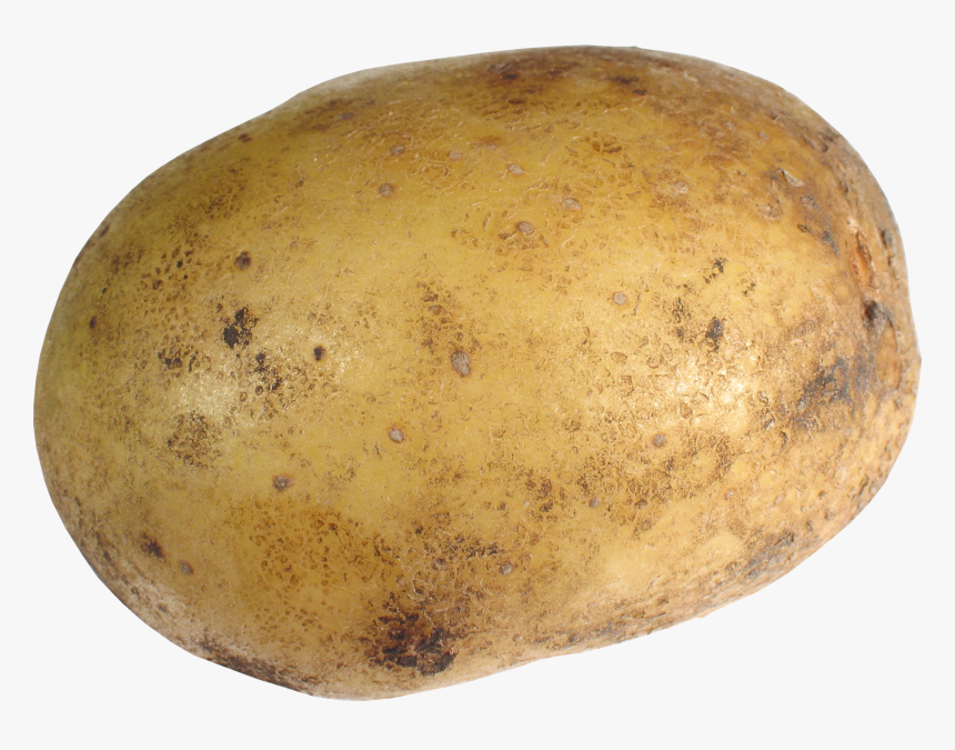 Potato Png, Transparent Png