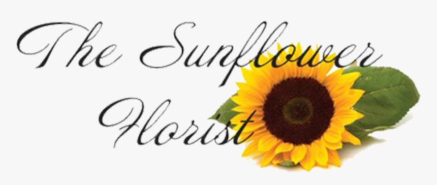 The Sunflower Florist - Sunflower, HD Png Download