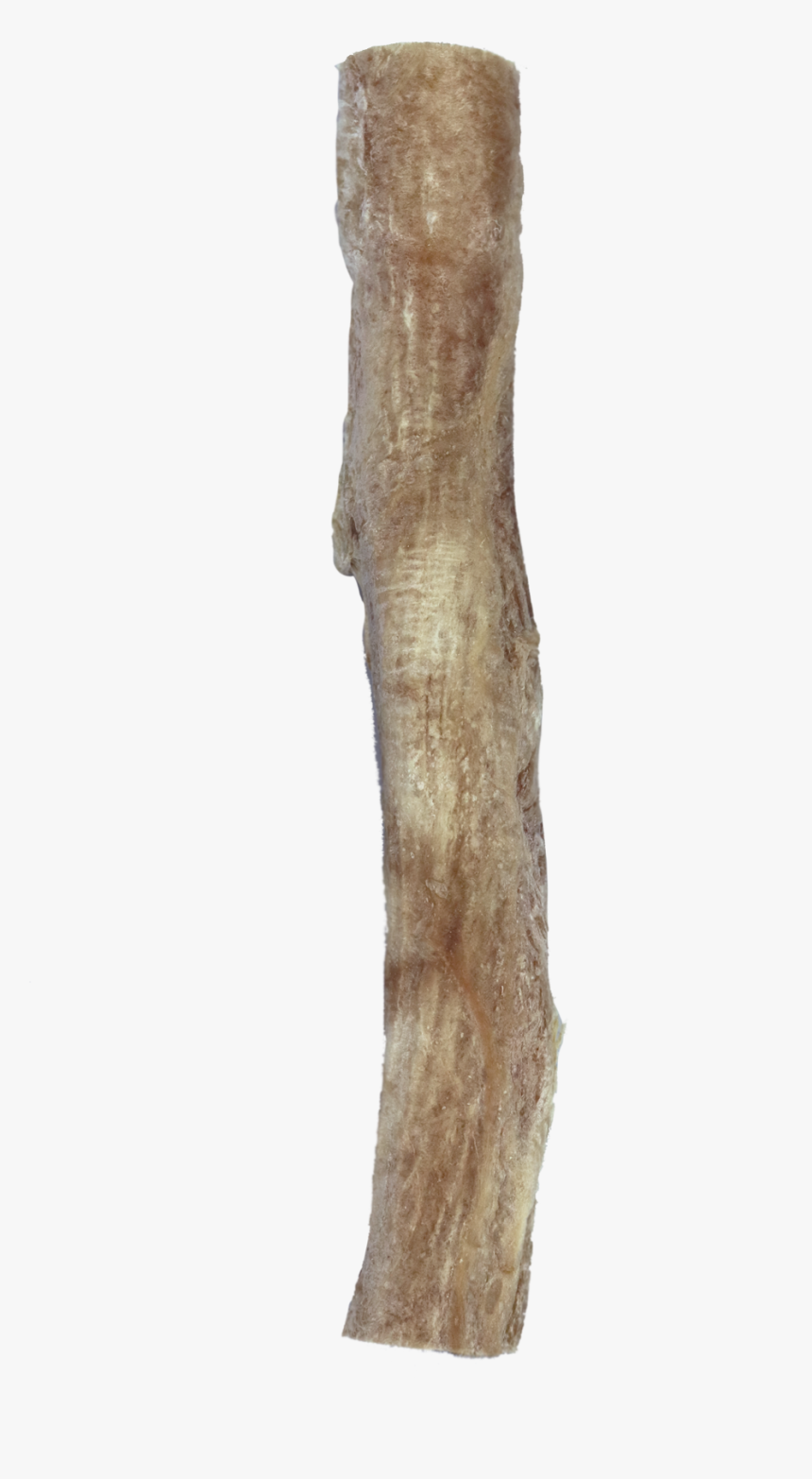 Freeze Dried Bully Sticks - Driftwood, HD Png Download