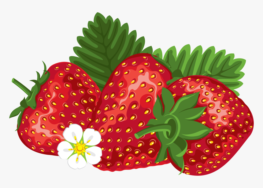 Strawberry Farmer Strawberries Images Image Free Download - Free Clip Art Strawberries, HD Png Download