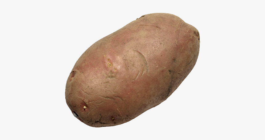 Potato With No Background, HD Png Download
