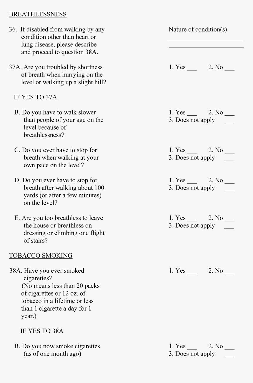 Document, HD Png Download