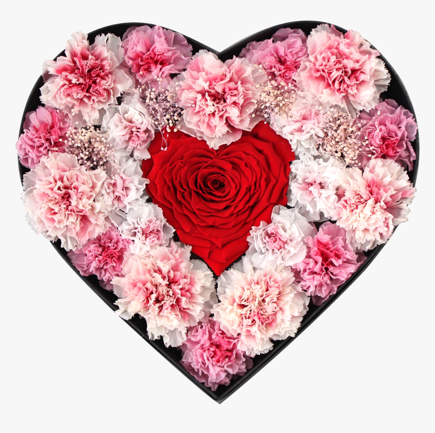 Red Carnation Png, Transparent Png