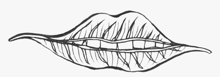 Gallery-image - Sketch, HD Png Download