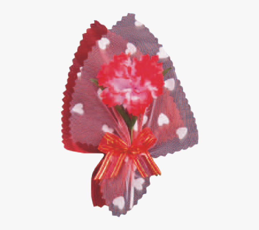 Tulip, HD Png Download