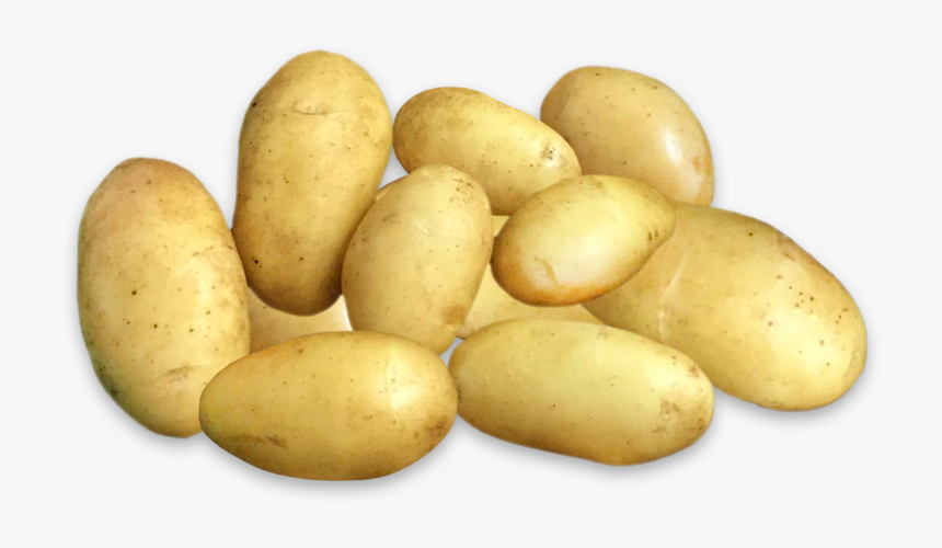 Potatos - Fingerling Potato, HD Png Download
