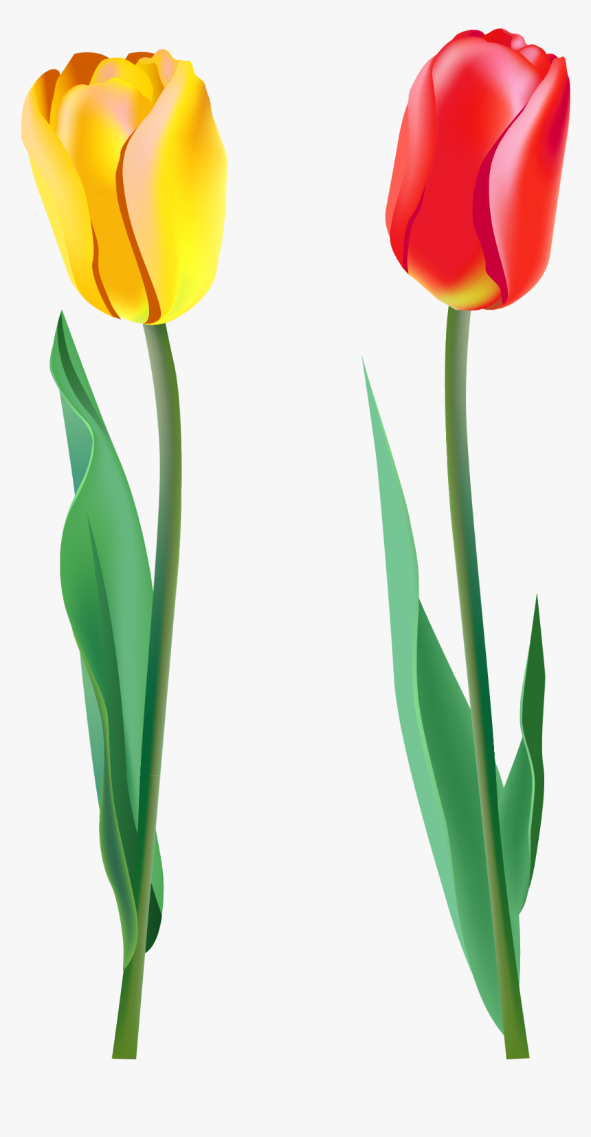 Darling Cero Ismael, HD Png Download