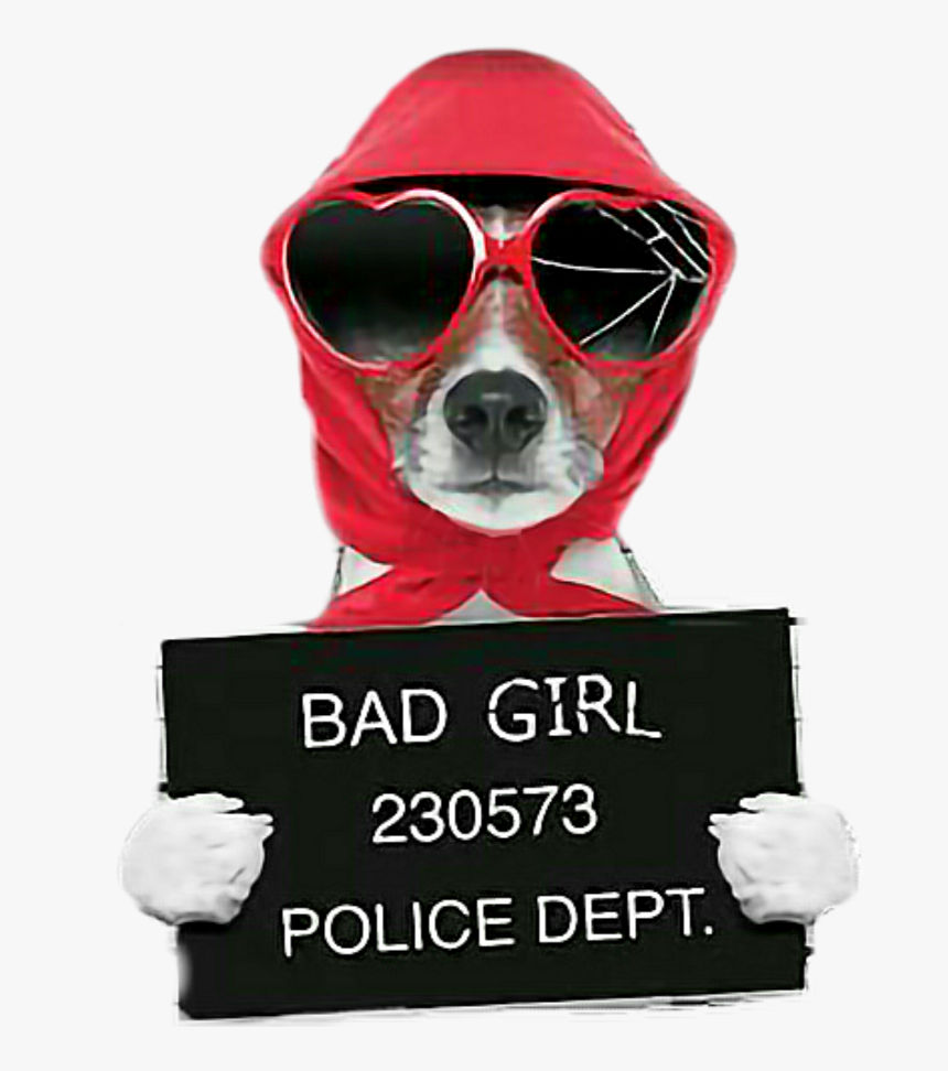 Bad Girl , Png Download - Bad Girl Jack Russell, Transparent Png