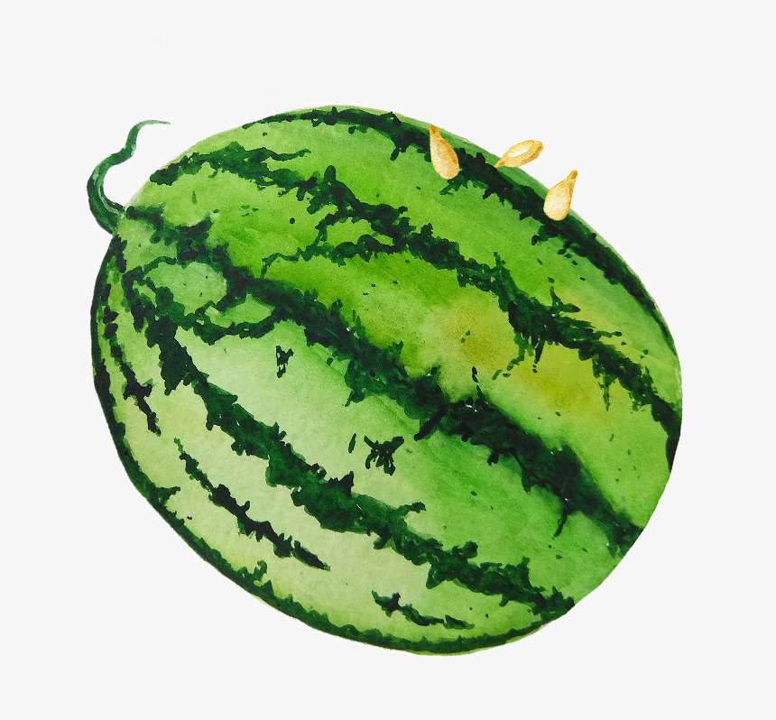 Watermelon, HD Png Download