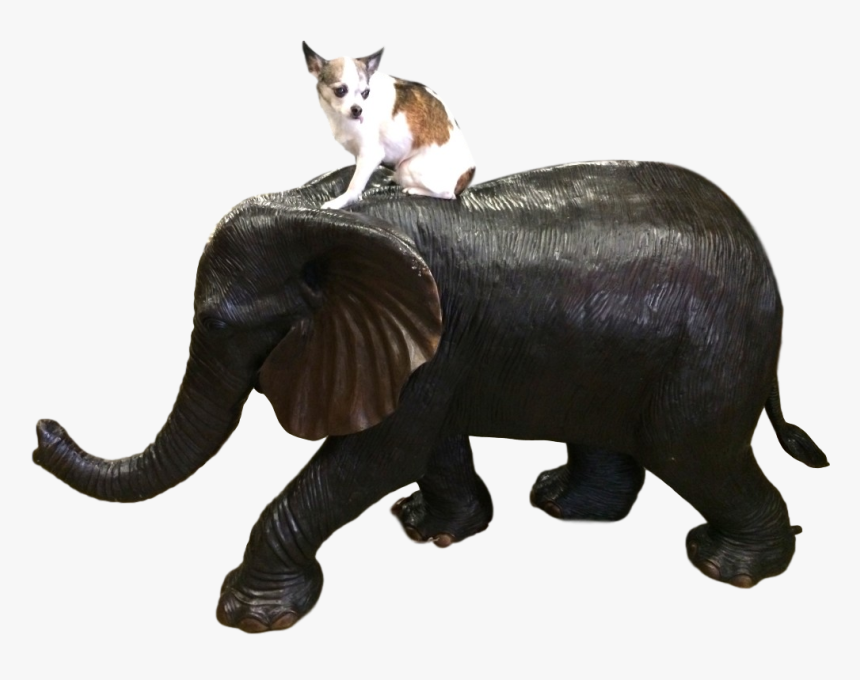 Clip Art Elephant Trunk Snake - Indian Elephant, HD Png Download