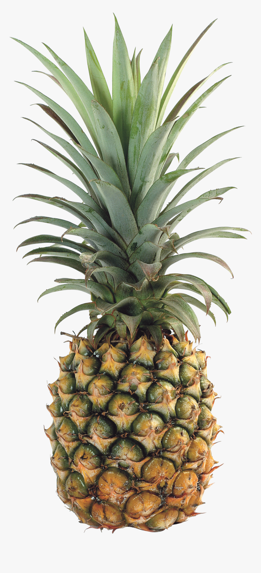 Ananas Image Png Download, Transparent Png
