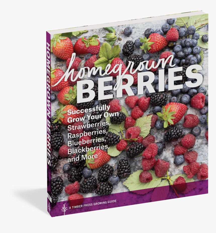 Cover - Growing Your Own Strawberries, HD Png Download