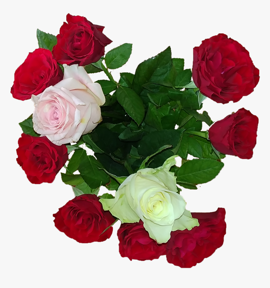 Rose Bouquet Love Free Picture - 꽃다발 장미 꽃 Png, Transparent Png