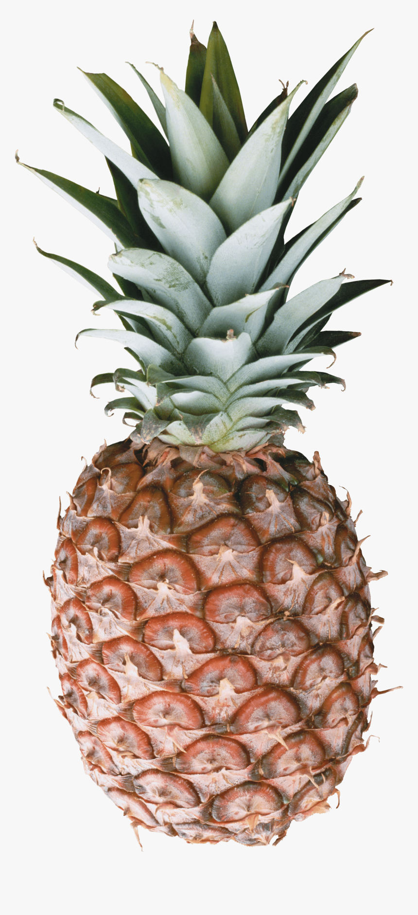 Pineapple Png Image Free Download - Iphone X Pineapple Case, Transparent Png