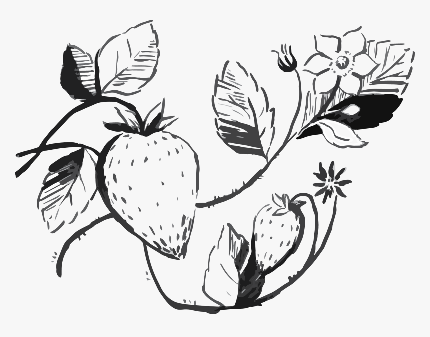 Illustration, HD Png Download