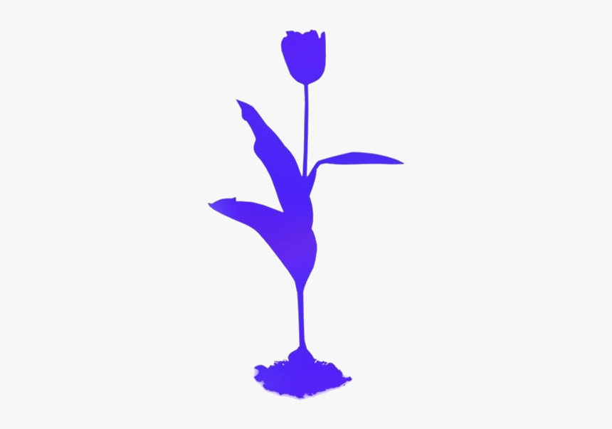 Tulip Plant Png Transparent Images - Tulip, Png Download