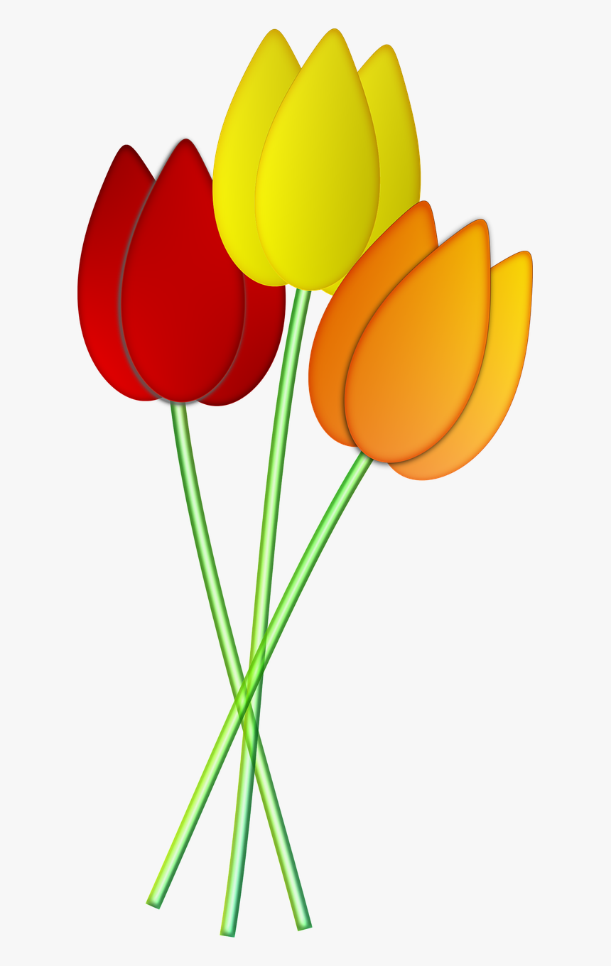 Tulips Flowers Spring Png Image - Tulips Flowers, Transparent Png