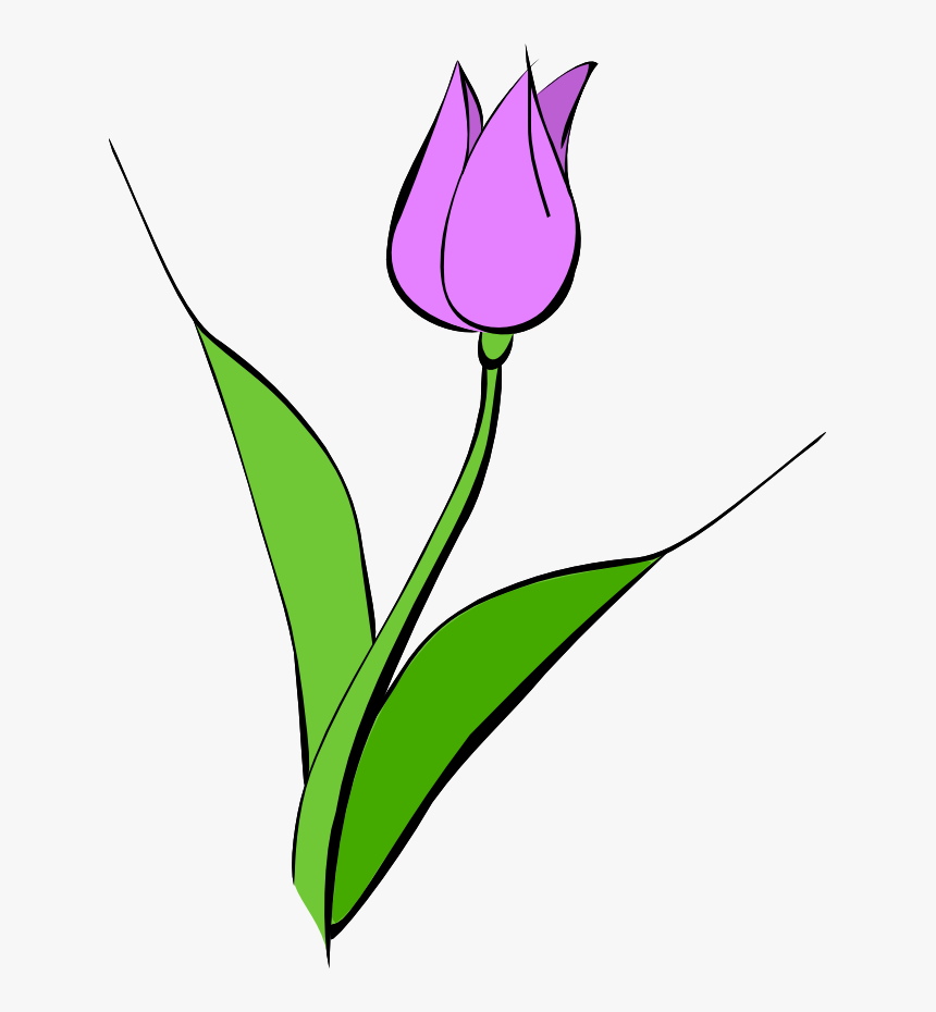 Tulip Images Download Png Clipart - Yellow Tulip Clipart, Transparent Png